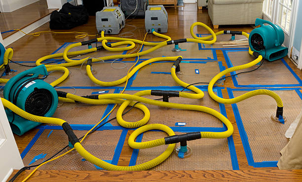 Professional Burst Pipe Water Damage technician working in Mooresville, AL